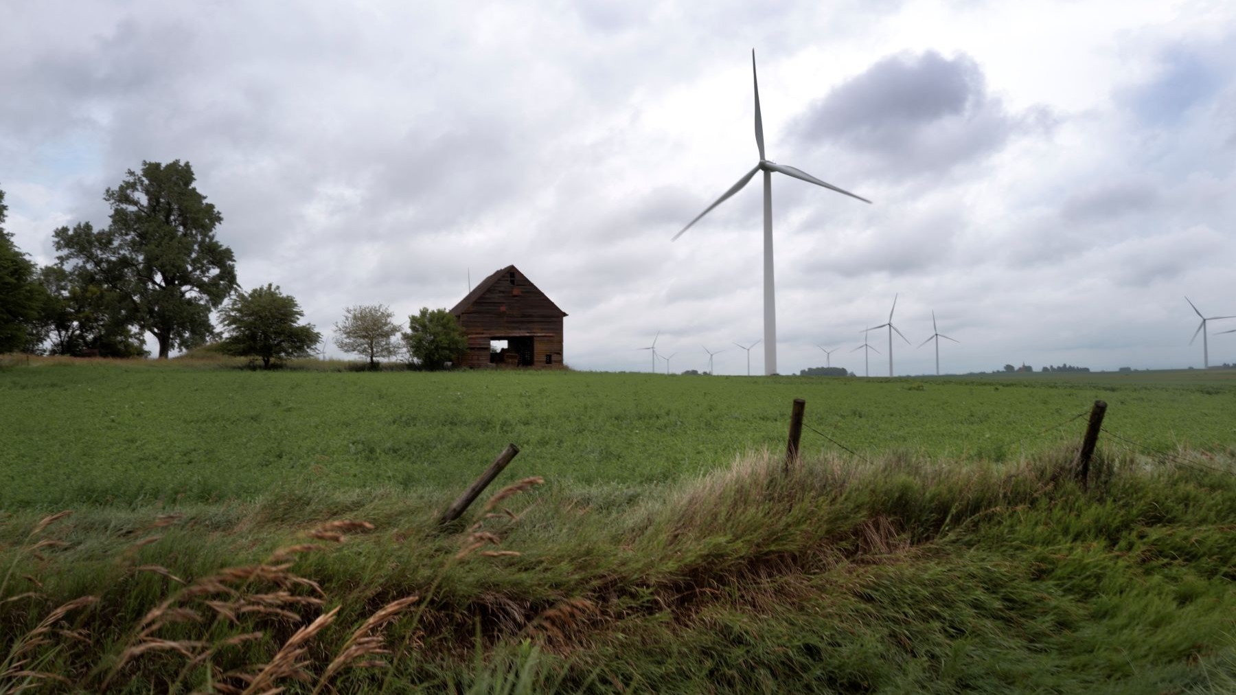 Wind turbines tower over the rural landscape in Iowa